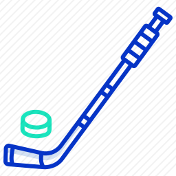 <em>曲棍球</em>
