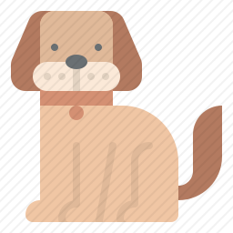 狗