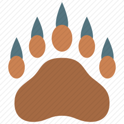 <em>熊</em>