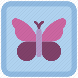 <em>蝴蝶</em>