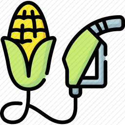 <em>玉米</em>