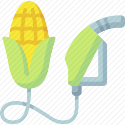 <em>玉米</em>