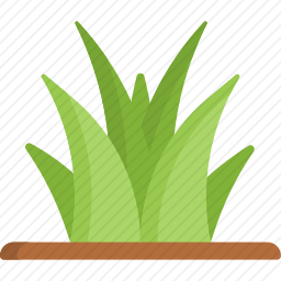 草