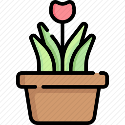 盆栽植物