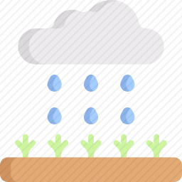 雨