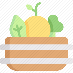 蔬菜