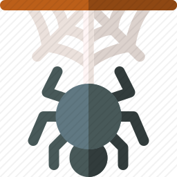 <em>蜘蛛</em>
