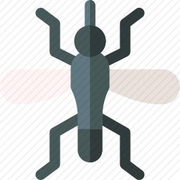 <em>蚊子</em>