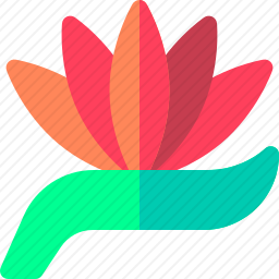 <em>天堂鸟</em>
