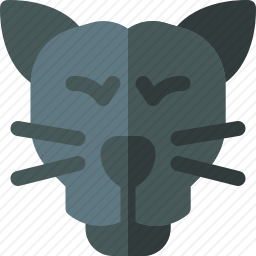 <em>黑豹</em>