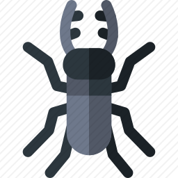 牡鹿