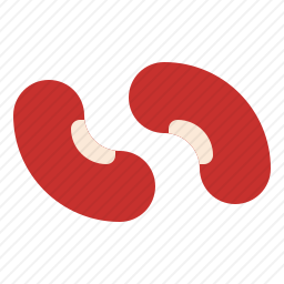 <em>豆</em>