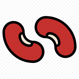 <em>豆</em>