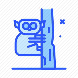 <em>眼镜猴</em>