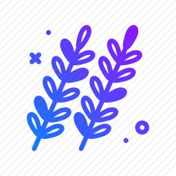 草本植物