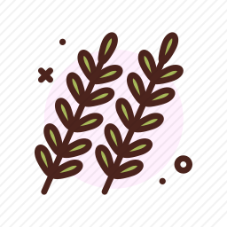 草本植物