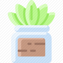 植物