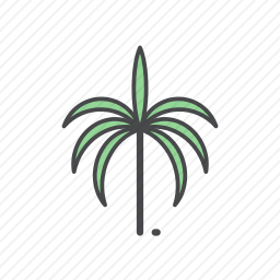 <em>棕榈树</em>