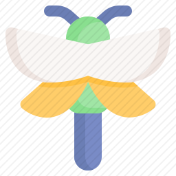 蜻蜓