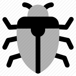 <em>甲虫</em>