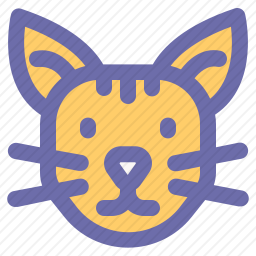 <em>猫</em>