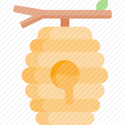 蜂窝