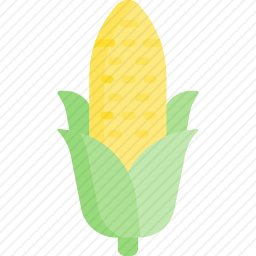<em>玉米</em>
