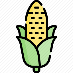 <em>玉米</em>