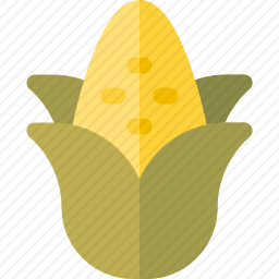 <em>玉米</em>