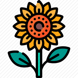<em>向日葵</em>