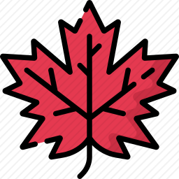 <em>枫叶</em>