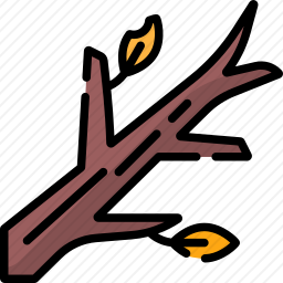 枝