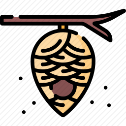 蜂窝