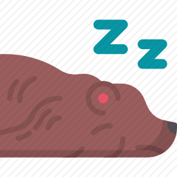 <em>熊</em>