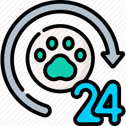 <em>急救</em>