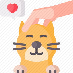 宠物