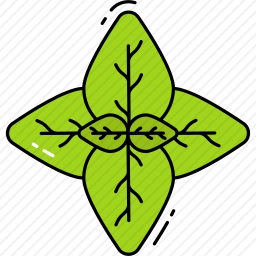 罗勒