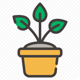 <em>植物</em>