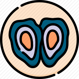 <em>牡蛎</em>