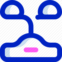 <em>植物</em>