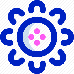 向日葵