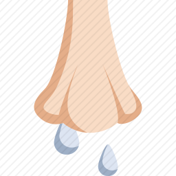 鼻子