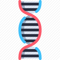 DNA