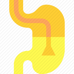 胃