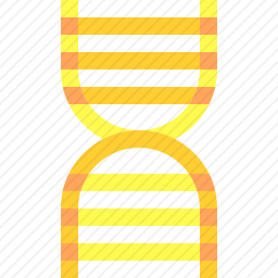 DNA