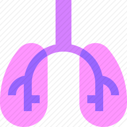 呼吸