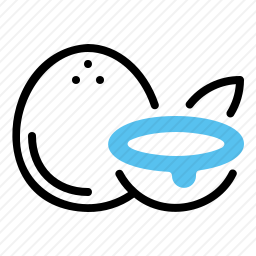 <em>椰子</em>