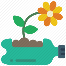 植物