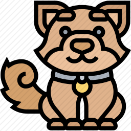 柴犬