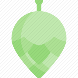 <em>植物</em>